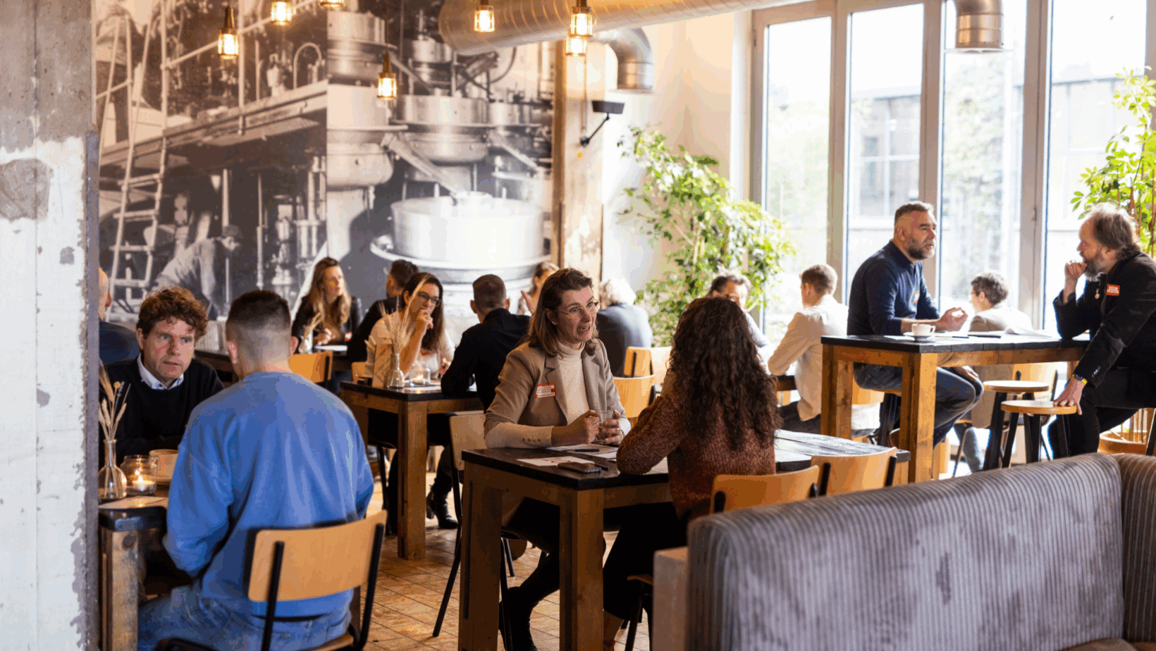 The Dutch Vision Group
